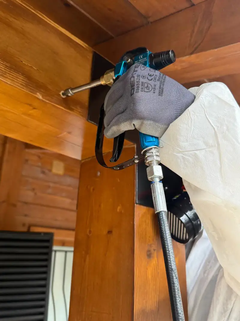 Exemple de zones attaquées avant intervention