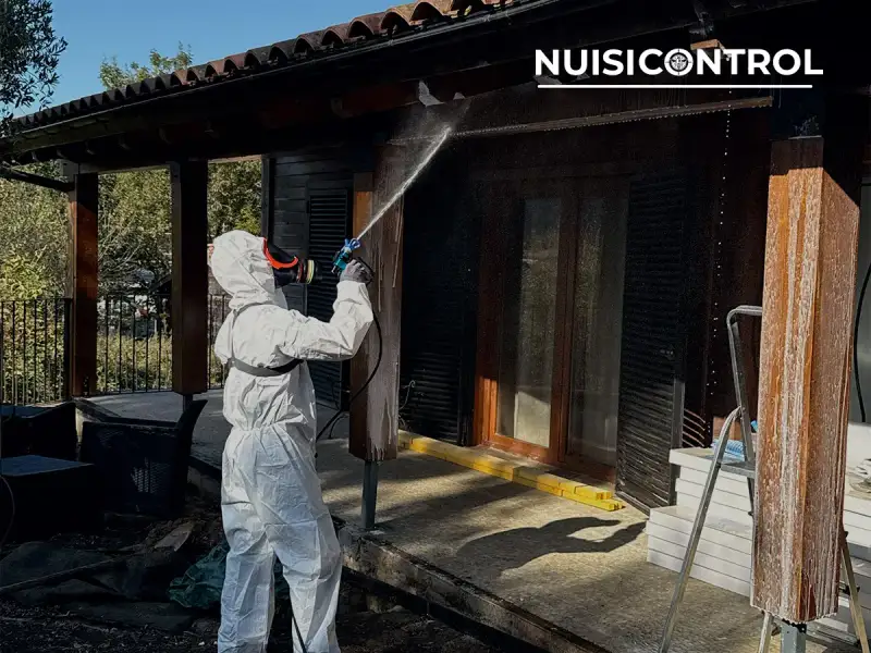 Exemple de zones attaquées avant intervention