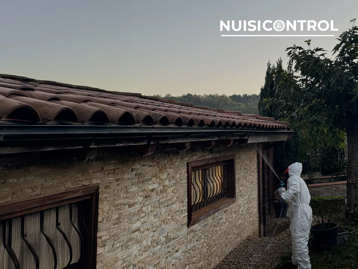 Traitement anti-termites sur façade et charpente extérieure