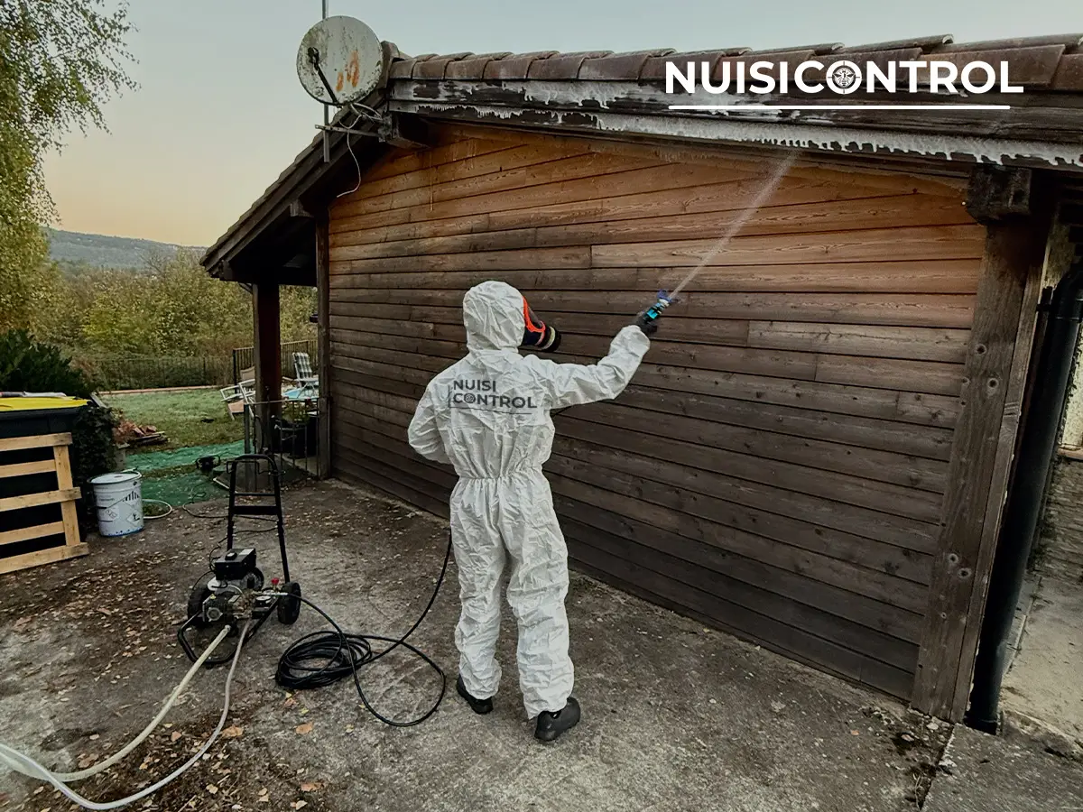 Traitement préventif anti-termites sur façade bois