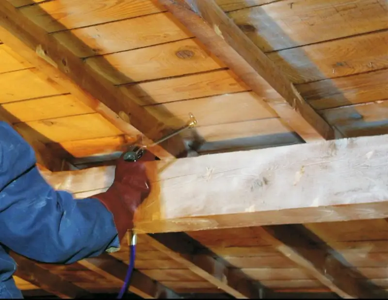 Exemple de zones attaquées avant intervention