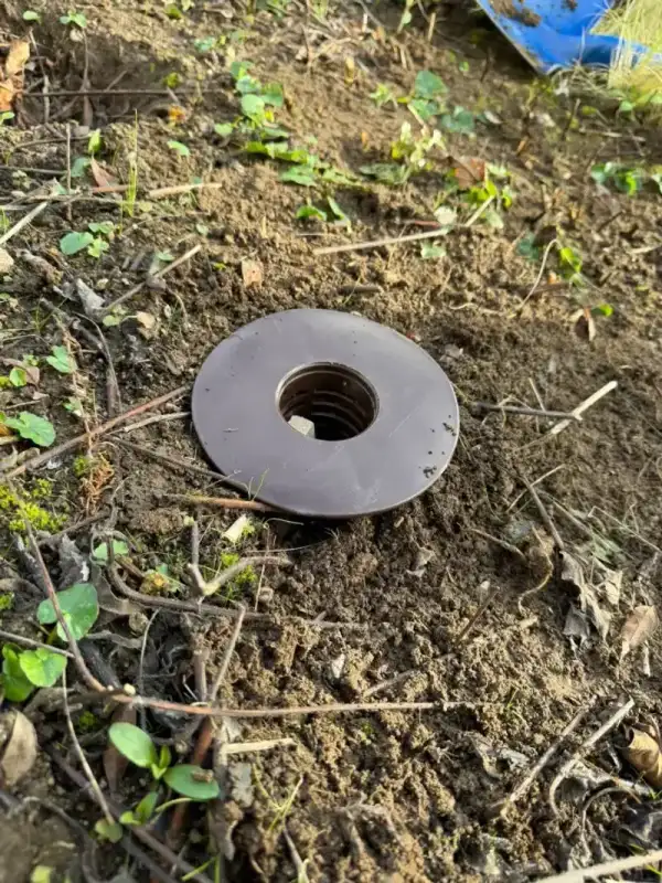 Exemple de zones attaquées avant intervention